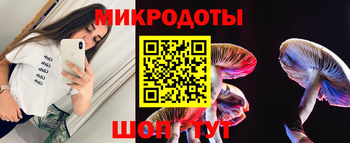 Галлюциногенные грибы мухоморы Южноуральск