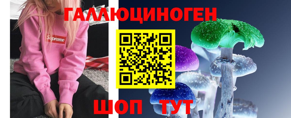цена наркотик  Псилоцибиновые грибы Psilocybe  Вход с VPN  Южноуральск 